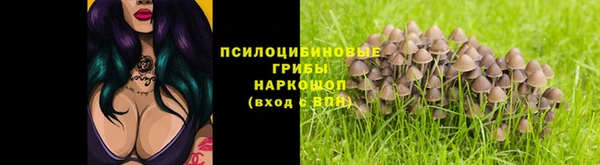 каннабис Новокубанск