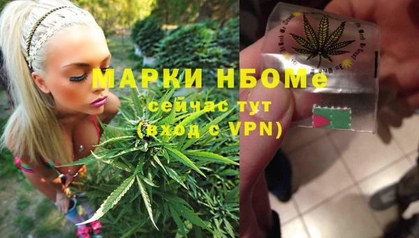 2c-b Новозыбков