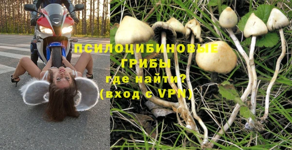 2c-b Новозыбков