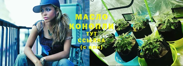 2c-b Новозыбков
