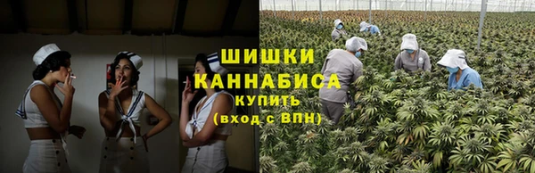 каннабис Новокубанск